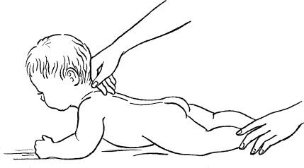 Иллюстрация к книге — Мать и дитя. Энциклопедия счастливого материнства от зачатия до первых шагов [_386.jpg]