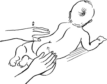 Иллюстрация к книге — Мать и дитя. Энциклопедия счастливого материнства от зачатия до первых шагов [_389.jpg]