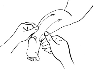 Иллюстрация к книге — Мать и дитя. Энциклопедия счастливого материнства от зачатия до первых шагов [_391.jpg]