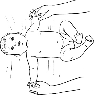 Иллюстрация к книге — Мать и дитя. Энциклопедия счастливого материнства от зачатия до первых шагов [_405.jpg]