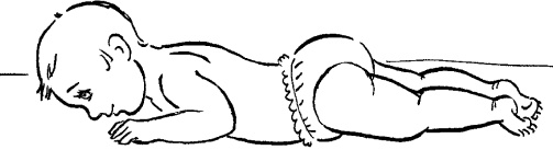 Иллюстрация к книге — Мать и дитя. Энциклопедия счастливого материнства от зачатия до первых шагов [_409.jpg]