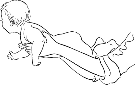 Иллюстрация к книге — Мать и дитя. Энциклопедия счастливого материнства от зачатия до первых шагов [_410.jpg]