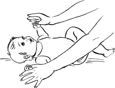 Иллюстрация к книге — Мать и дитя. Энциклопедия счастливого материнства от зачатия до первых шагов [_415.jpg]