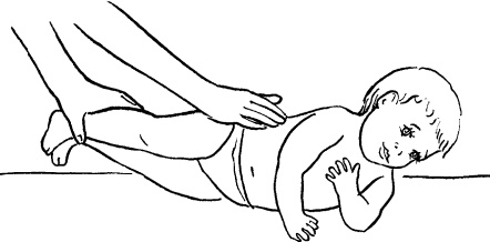 Иллюстрация к книге — Мать и дитя. Энциклопедия счастливого материнства от зачатия до первых шагов [_431.jpg]