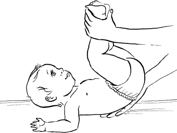 Иллюстрация к книге — Мать и дитя. Энциклопедия счастливого материнства от зачатия до первых шагов [_432.jpg]