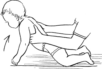 Иллюстрация к книге — Мать и дитя. Энциклопедия счастливого материнства от зачатия до первых шагов [_445.jpg]