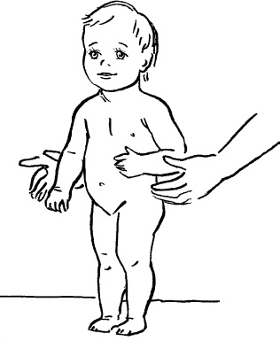 Иллюстрация к книге — Мать и дитя. Энциклопедия счастливого материнства от зачатия до первых шагов [_453.jpg]