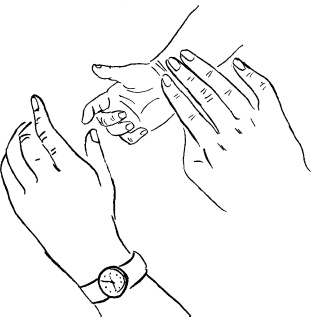 Иллюстрация к книге — Мать и дитя. Энциклопедия счастливого материнства от зачатия до первых шагов [_481.jpg]