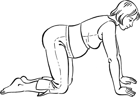 Иллюстрация к книге — Мать и дитя. Энциклопедия счастливого материнства от зачатия до первых шагов [_65.jpg]