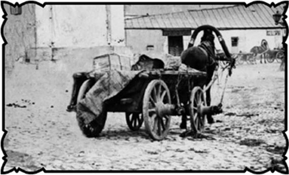 Иллюстрация к книге — Соль с Жеваховой горы [i_007.jpg]