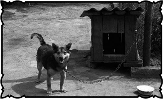 Иллюстрация к книге — Соль с Жеваховой горы [i_015.jpg]