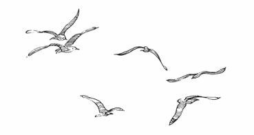 Иллюстрация к книге — Роза ветров [i_001.jpg]