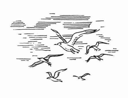 Иллюстрация к книге — Роза ветров [i_049.jpg]