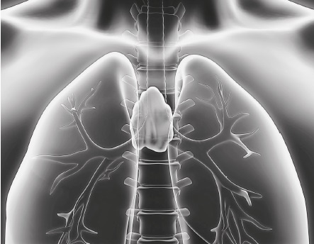 Иллюстрация к книге — Вся правда о гормонах и не только [i_006.jpg]
