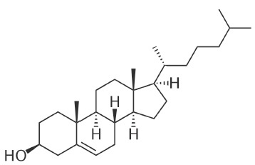 Иллюстрация к книге — Вся правда о гормонах и не только [i_019.jpg]