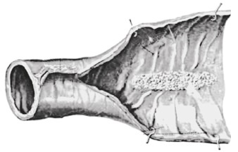 Иллюстрация к книге — Вся правда о гормонах и не только [i_025.jpg]