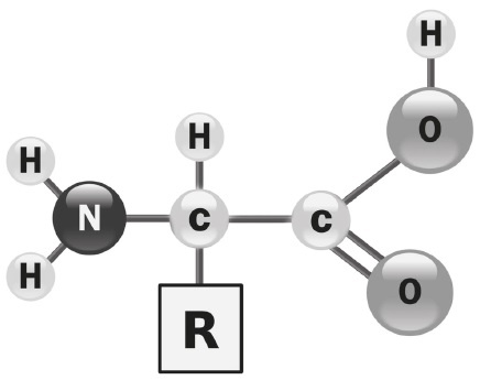 Иллюстрация к книге — Вся правда о гормонах и не только [i_027.jpg]