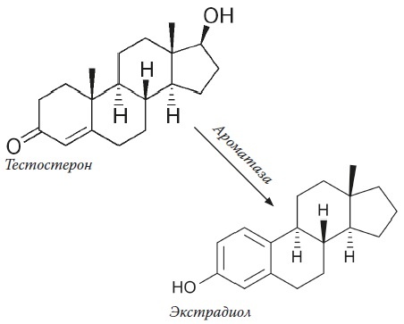 Иллюстрация к книге — Вся правда о гормонах и не только [i_035.jpg]
