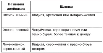 Иллюстрация к книге — Полная энциклопедия грибов [pic_12.jpg]