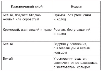 Иллюстрация к книге — Полная энциклопедия грибов [pic_16.jpg]