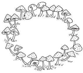 Иллюстрация к книге — Полная энциклопедия грибов [pic_4.jpg]