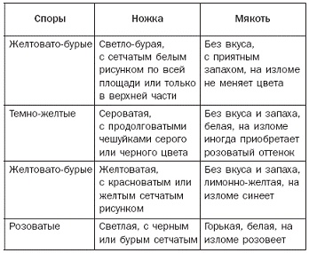 Иллюстрация к книге — Полная энциклопедия грибов [pic_6.jpg]