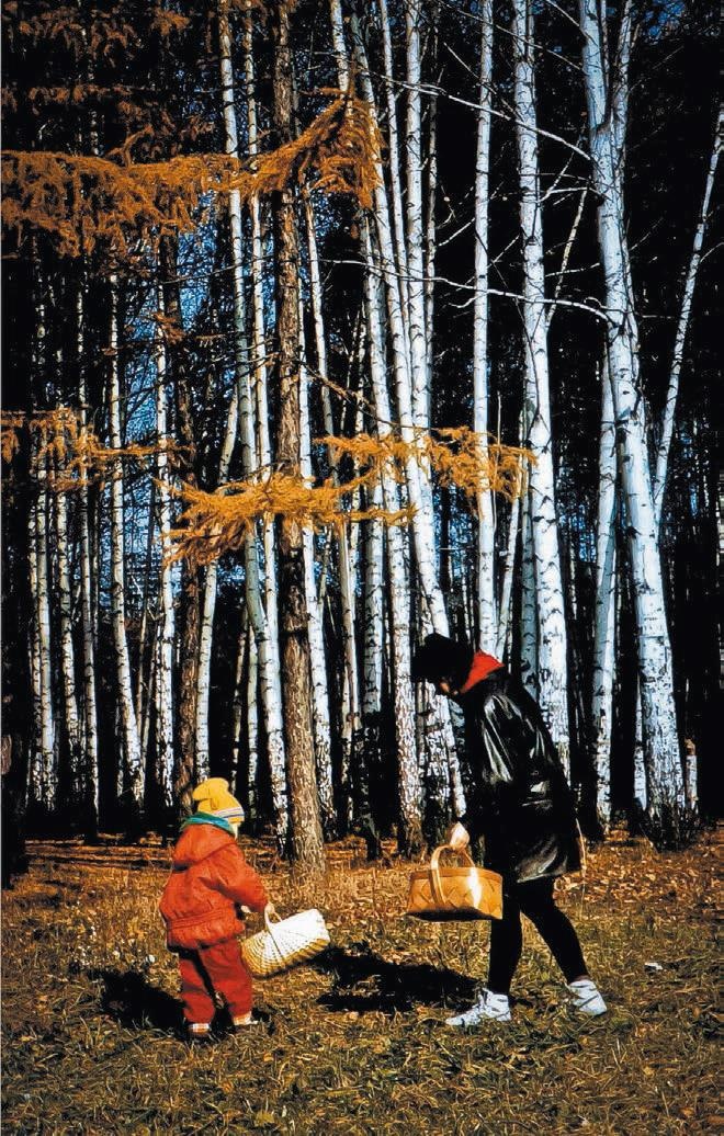 Иллюстрация к книге — Малоизвестные съедобные грибы [i_117.jpg]