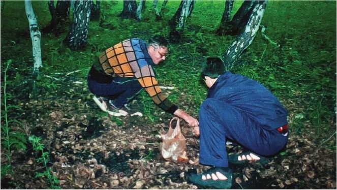 Иллюстрация к книге — Малоизвестные съедобные грибы [i_196.jpg]