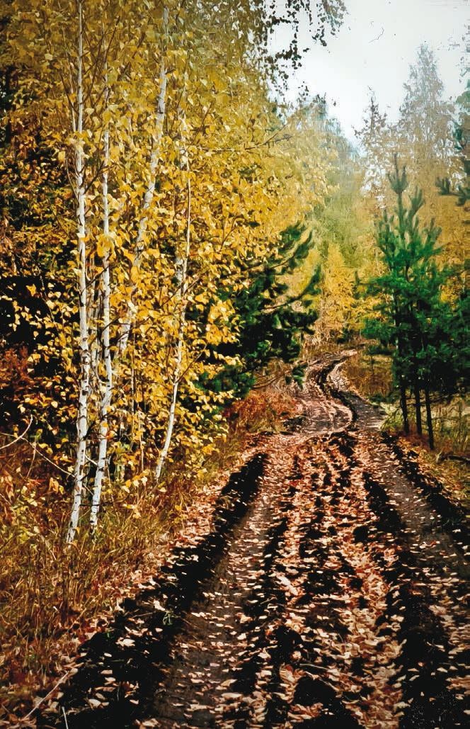 Иллюстрация к книге — Малоизвестные съедобные грибы [i_389.jpg]