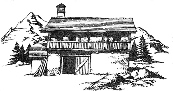 Иллюстрация к книге — Людо и звездный конь [i_001.jpg]