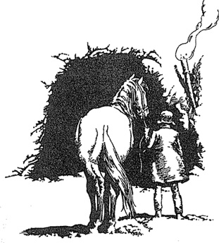 Иллюстрация к книге — Людо и звездный конь [i_005.jpg]