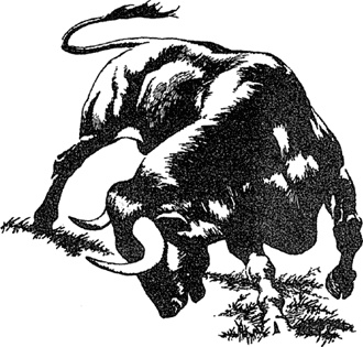 Иллюстрация к книге — Людо и звездный конь [i_012.jpg]