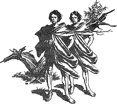 Иллюстрация к книге — Людо и звездный конь [i_013.jpg]