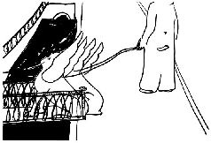 Иллюстрация к книге — Состояние - Питер [pic_6.jpg]