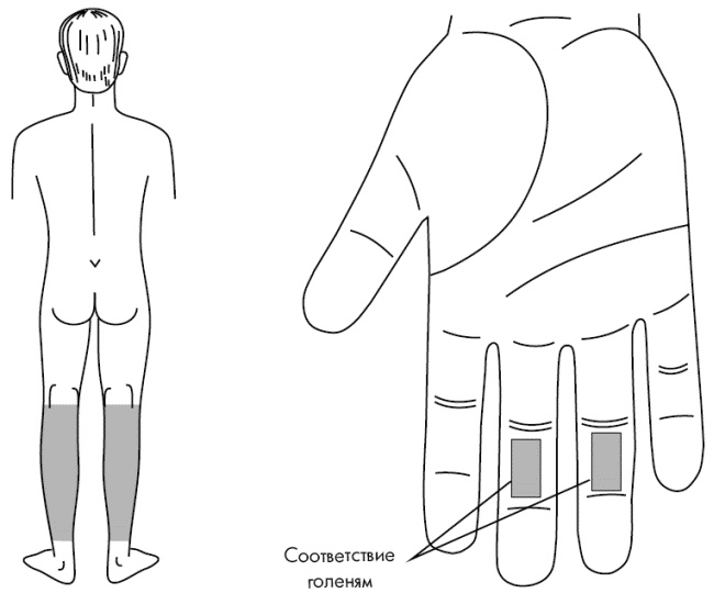 Иллюстрация к книге — Су-Джок лечит. Мигрень, кашель, боль в спине, тяжесть в желудке [i_014.jpg]
