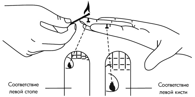 Иллюстрация к книге — Су-Джок лечит. Мигрень, кашель, боль в спине, тяжесть в желудке [i_018.jpg]