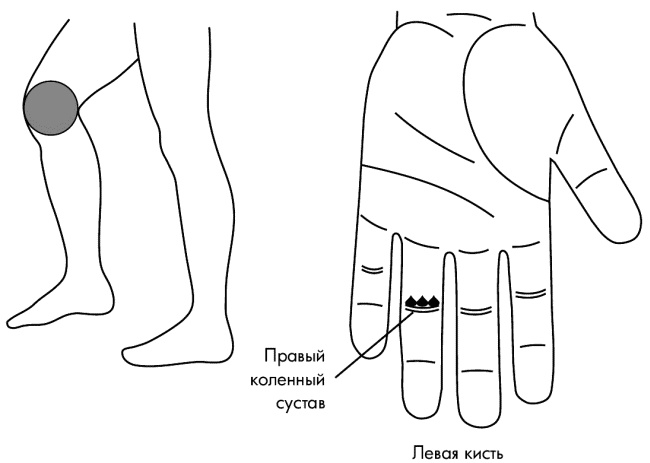 Иллюстрация к книге — Су-Джок лечит. Мигрень, кашель, боль в спине, тяжесть в желудке [i_026.jpg]