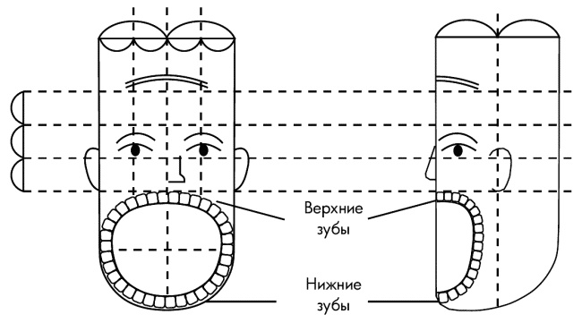 Иллюстрация к книге — Су-Джок лечит. Мигрень, кашель, боль в спине, тяжесть в желудке [i_027.jpg]