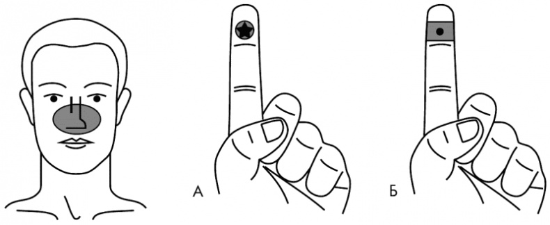 Иллюстрация к книге — Су-Джок лечит. Мигрень, кашель, боль в спине, тяжесть в желудке [i_032.jpg]