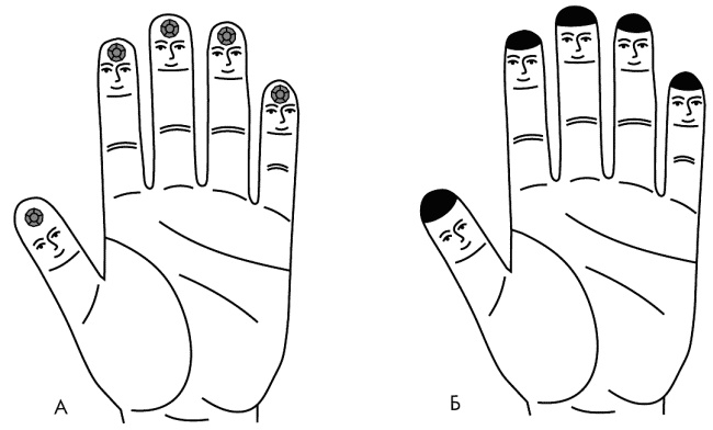 Иллюстрация к книге — Су-Джок лечит. Мигрень, кашель, боль в спине, тяжесть в желудке [i_034.jpg]