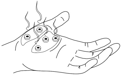 Иллюстрация к книге — Су-Джок лечит. Мигрень, кашель, боль в спине, тяжесть в желудке [i_042.jpg]