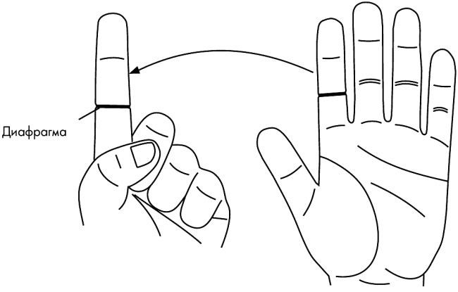 Иллюстрация к книге — Су-Джок лечит. Мигрень, кашель, боль в спине, тяжесть в желудке [i_047.jpg]