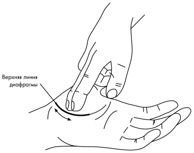 Иллюстрация к книге — Су-Джок лечит. Мигрень, кашель, боль в спине, тяжесть в желудке [i_048.jpg]