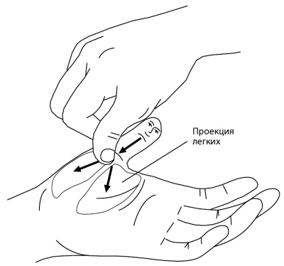 Иллюстрация к книге — Су-Джок лечит. Мигрень, кашель, боль в спине, тяжесть в желудке [i_049.jpg]