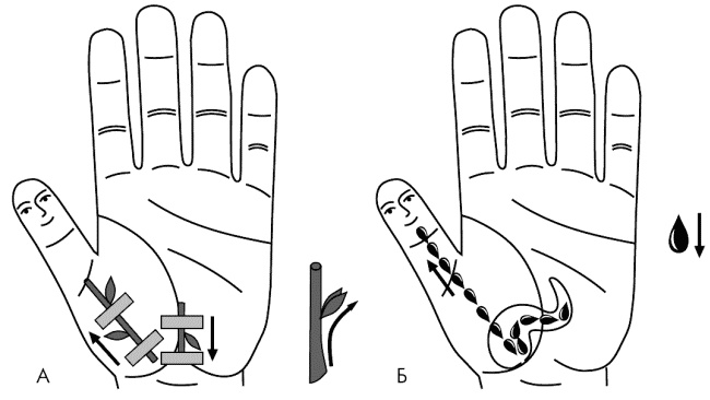 Иллюстрация к книге — Су-Джок лечит. Мигрень, кашель, боль в спине, тяжесть в желудке [i_065.jpg]