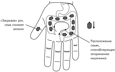 Иллюстрация к книге — Су-Джок лечит. Мигрень, кашель, боль в спине, тяжесть в желудке [i_067.jpg]
