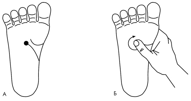 Иллюстрация к книге — Су-Джок лечит. Мигрень, кашель, боль в спине, тяжесть в желудке [i_081.jpg]