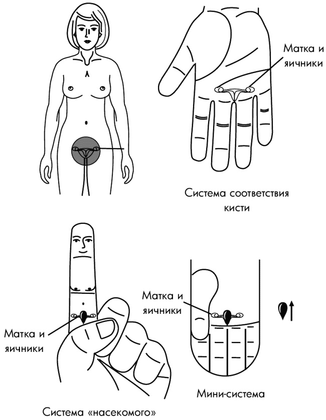 Иллюстрация к книге — Су-Джок лечит. Мигрень, кашель, боль в спине, тяжесть в желудке [i_089.jpg]