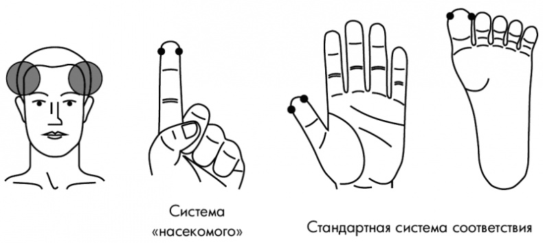 Иллюстрация к книге — Су-Джок лечит. Мигрень, кашель, боль в спине, тяжесть в желудке [i_102.jpg]