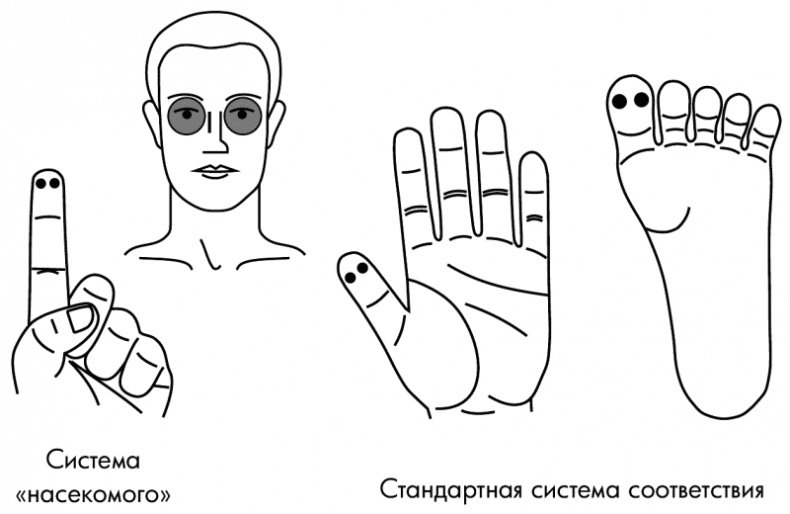 Иллюстрация к книге — Су-Джок лечит. Мигрень, кашель, боль в спине, тяжесть в желудке [i_105.jpg]